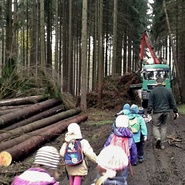 Úklid v lese - děti si prohlédly zpracování klesti