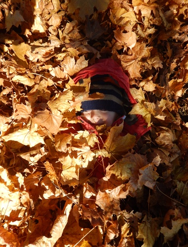Lesní pedagogika s dováděním v podzimním listí