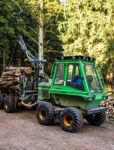 Lesníci letos čekají další zhoršení kůrovcové kalamity