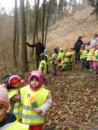 Na Karlovarsku již předškoláci vědí, co se děje v lese