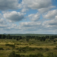 Obora Židlov