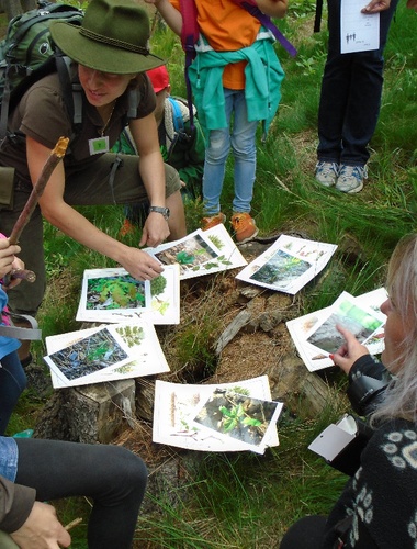 Lesní pedagogika s mezinárodní účastí