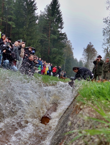 Vojenské lesy předaly veřejnosti zrekonstruovaný Želnavský smyk. Oslavily to plavením dříví po 61 letech