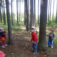 Děti z Daskabátu v lese