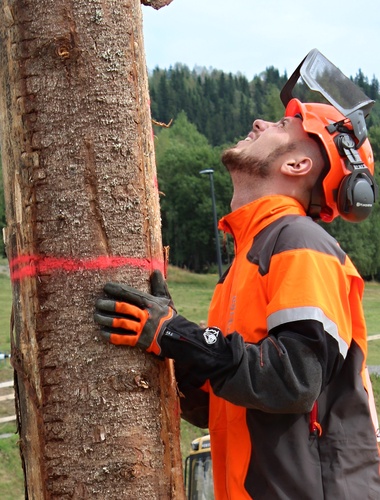 Čeští dřevorubci začali na světovém šampionátu slibně
