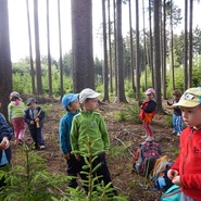 Děti z Daskabátu v lese