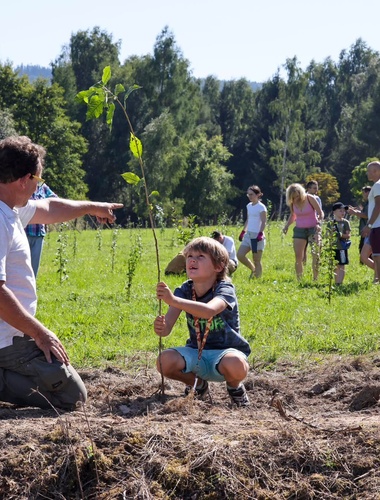 Brdské stromsázení: Šest tisíc dobrovolníků proměnilo údolí na Velcí v ovocný sad