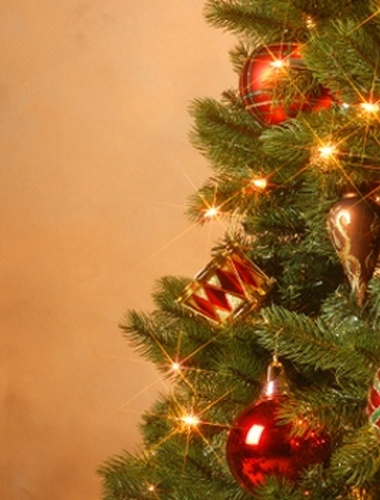 Vánoční stromky z VLS míří do dětských domovů na Liberecku