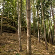 Skály na Mimoni